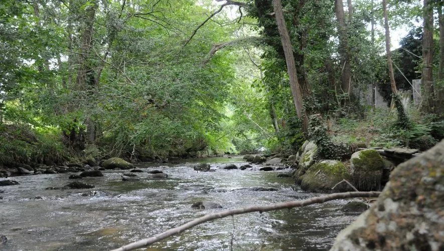 Rivière : L'arget à saint pierre de rivière à Saint-pierre-de-rivière, parcours de pêche en eau douce en Ariège