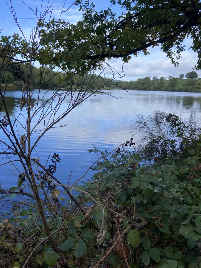 Lieu de pêche Plan d'eau de saint-clément (barrage edf) - Saint-clément (03 - Allier)