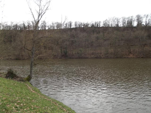 Étang : L'étang de cournauron à Néris-les-bains, parcours de pêche en eau douce en Allier