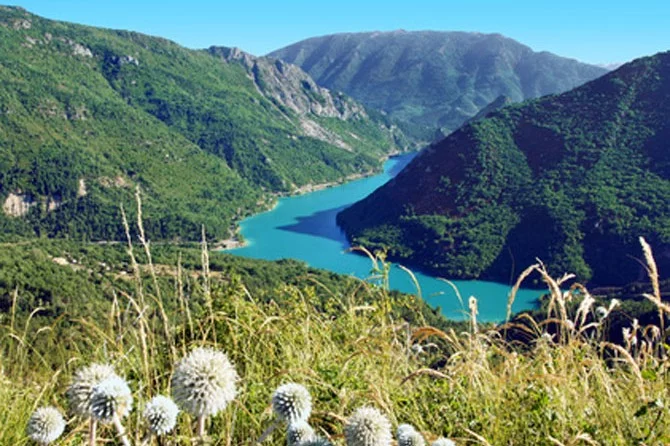 Lieu de pêche Lac de chaudanne - Demandolx (04 - Alpes de Haute Provence)