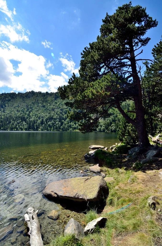 Étang : Etang de quérigut à Quérigut, parcours de pêche en eau douce en Ariège