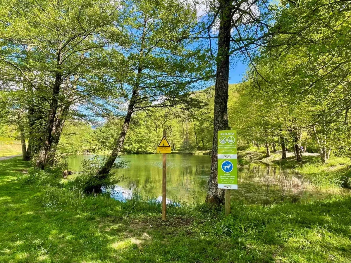 Gravière : Gravière de Savignac 2 à Savignac-les-ormeaux, parcours de pêche en eau douce en Ariège