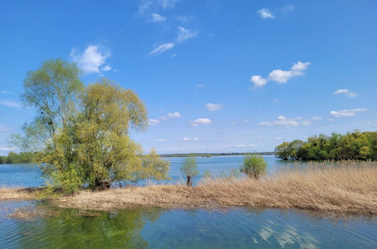 Lac : Lac d'orient à Mesnil-saint-père, parcours de pêche en eau douce en Aube