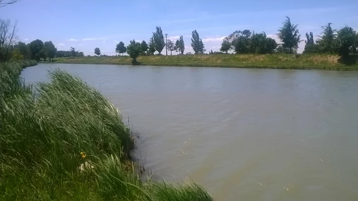 Lieu de pêche Etang de rambaille - Tarascon (13 - Bouches du Rhône)
