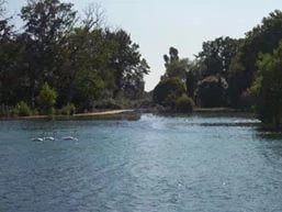 Lieu de pêche Lac de la tuiliere - Vitrolles (13 - Bouches du Rhône)