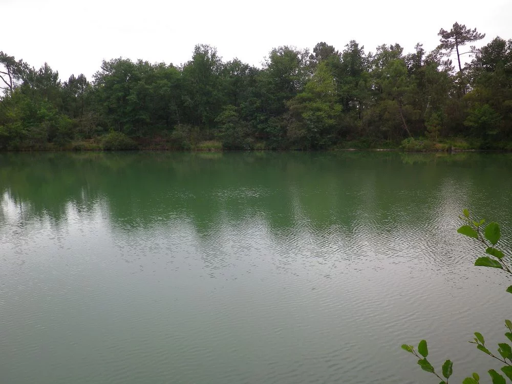 Lieu de pêche Plan d'eau de piquedur - Bors(canton de baignes-sainte-radegonde) (16 - Charente)