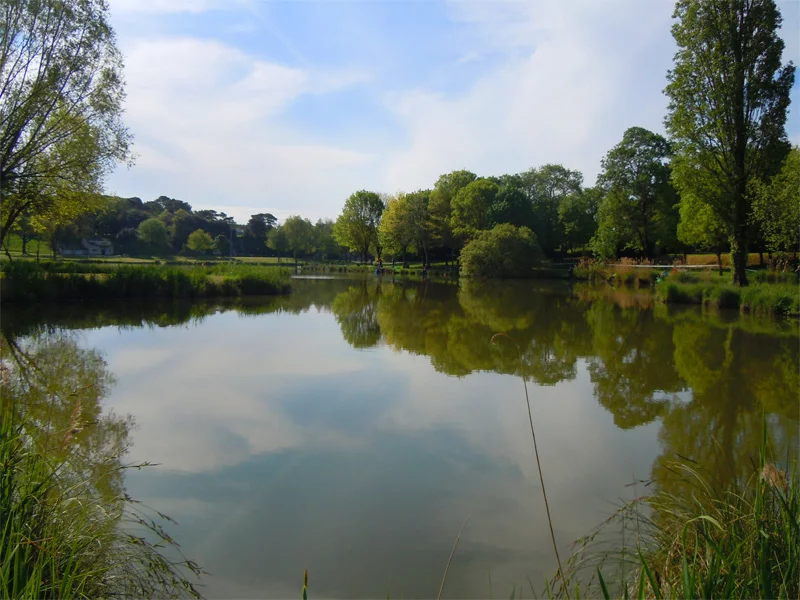 Lieu de pêche Le lac raymond vignes : - Saint-palais-sur-mer (17 - Charente Maritime)