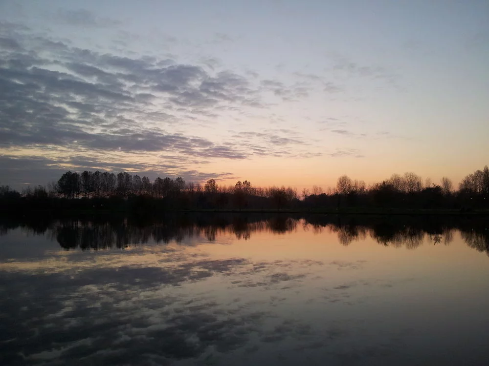Lieu de pêche Lac de frace - Aigrefeuille-d'aunis (17 - Charente Maritime)