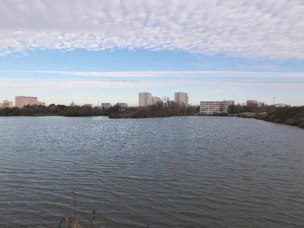 Lieu de pêche Les lacs de villeneuve - La rochelle (17 - Charente Maritime)