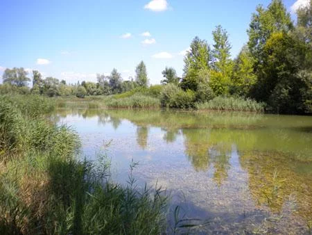 Lieu de pêche Sablière des sirmonots - Arc-sur-tille (21 - Côte d'Or)