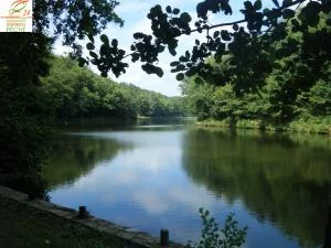 Lieu de pêche Plan d'eau de la barde - Saint-pierre-de-frugie (24 - Dordogne)