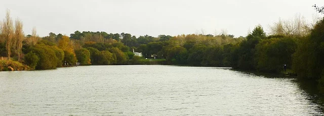 Lieu de pêche L'étang de mesquéau - Plougasnou (29 - Finistère)