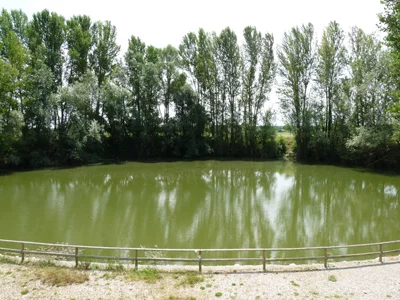 Lac : Turques (plan d'eau des) à Bessières, parcours de pêche en eau douce en Haute Garonne