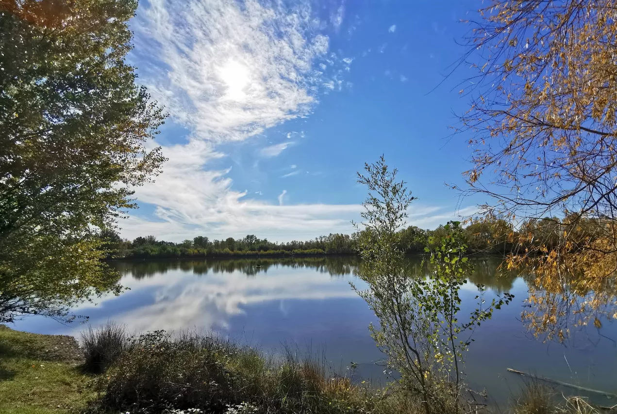 Lieu de pêche lamartine - Roques (31 - Haute Garonne)