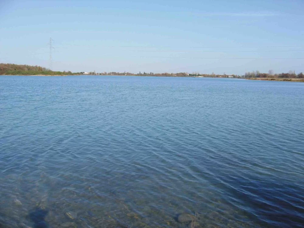 Lac : Birazel (lac de) à Plaisance-du-touch, parcours de pêche en eau douce en Haute Garonne