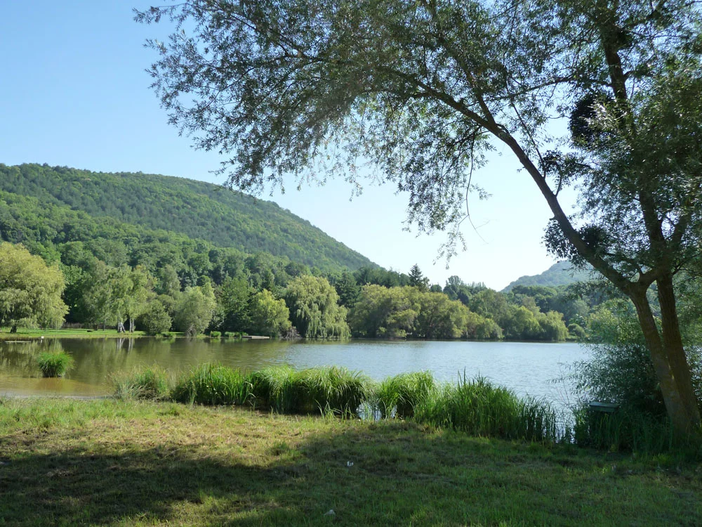 Lac : Barbazan (lac de) à Barbazan, parcours de pêche en eau douce en Haute Garonne