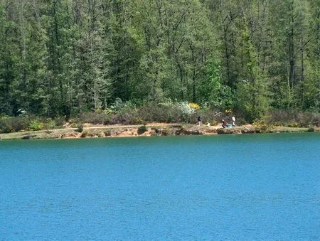 Lac : Balerme (lac de la) à Verfeil, parcours de pêche en eau douce en Haute Garonne