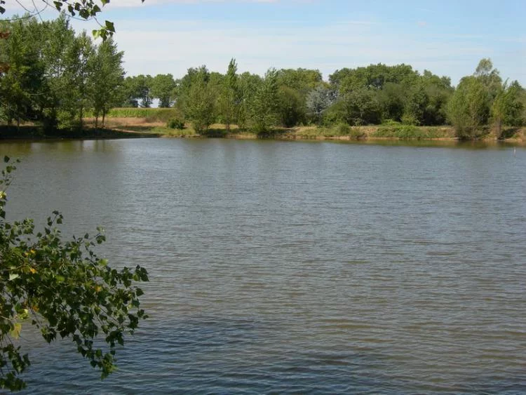 Lac : Albergo (lac d') à Buzet-sur-tarn, parcours de pêche en eau douce en Haute Garonne