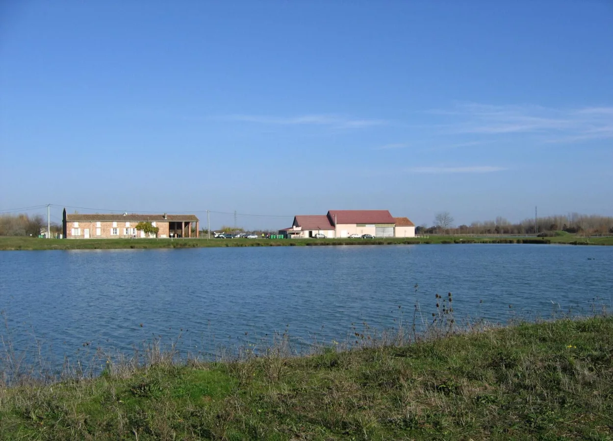 Lieu de pêche Petit lac de bidot - Fonsorbes (31 - Haute Garonne)