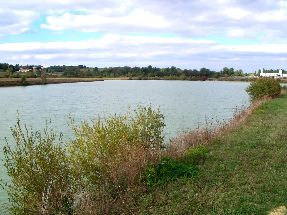Lieu de pêche Lac aérodrome - Auch (32 - Gers)