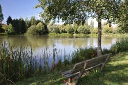 Lieu de pêche Plan d'eau d'ecueillé - Écueillé (36 - Indre)