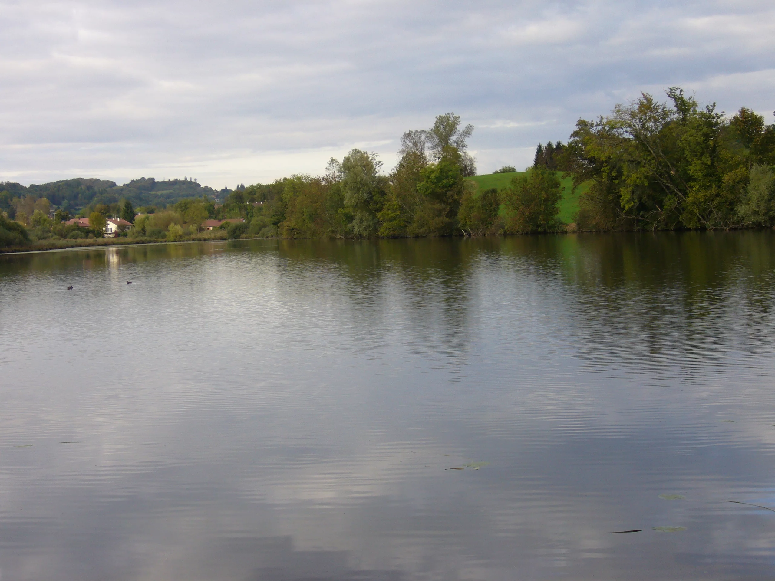 Étang : Etang du pin à Le pin, parcours de pêche en eau douce en Isère
