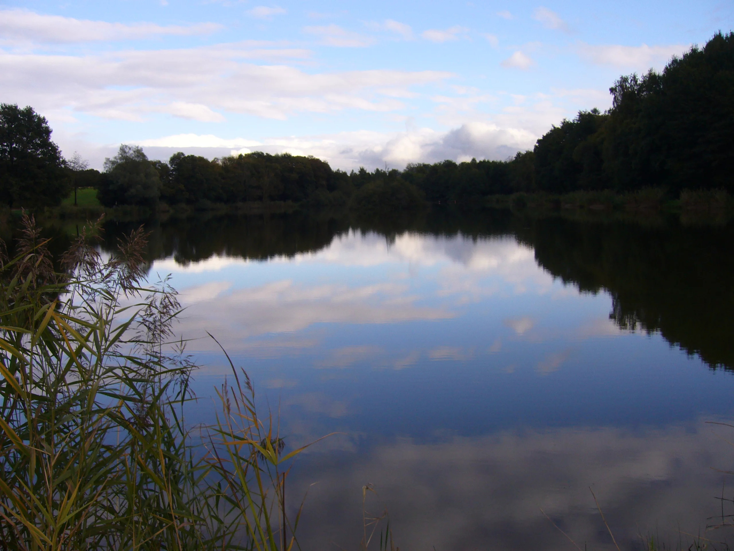 Étang : Etang du vivier a valencogne à Valencogne, parcours de pêche en eau douce en Isère