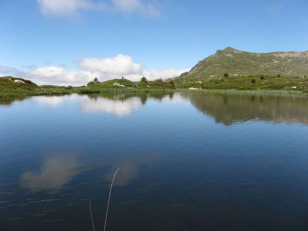 Lac : Lac canard à Livet-et-gavet, parcours de pêche en eau douce en Isère