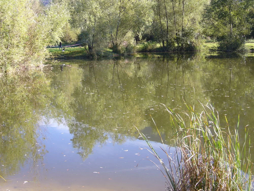 Étang : Etang le grand plan à Vizille, parcours de pêche en eau douce en Isère
