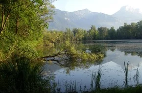 Étang : Les etangs de l'edf à Fontanil-cornillon, parcours de pêche en eau douce en Isère