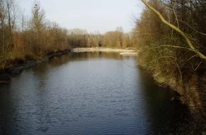 Étang : Etang du grand glairon à Saint-vincent-de-mercuze, parcours de pêche en eau douce en Isère