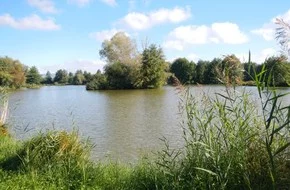 Étang : Etang chanclau à La côte saint andré, parcours de pêche en eau douce en Isère