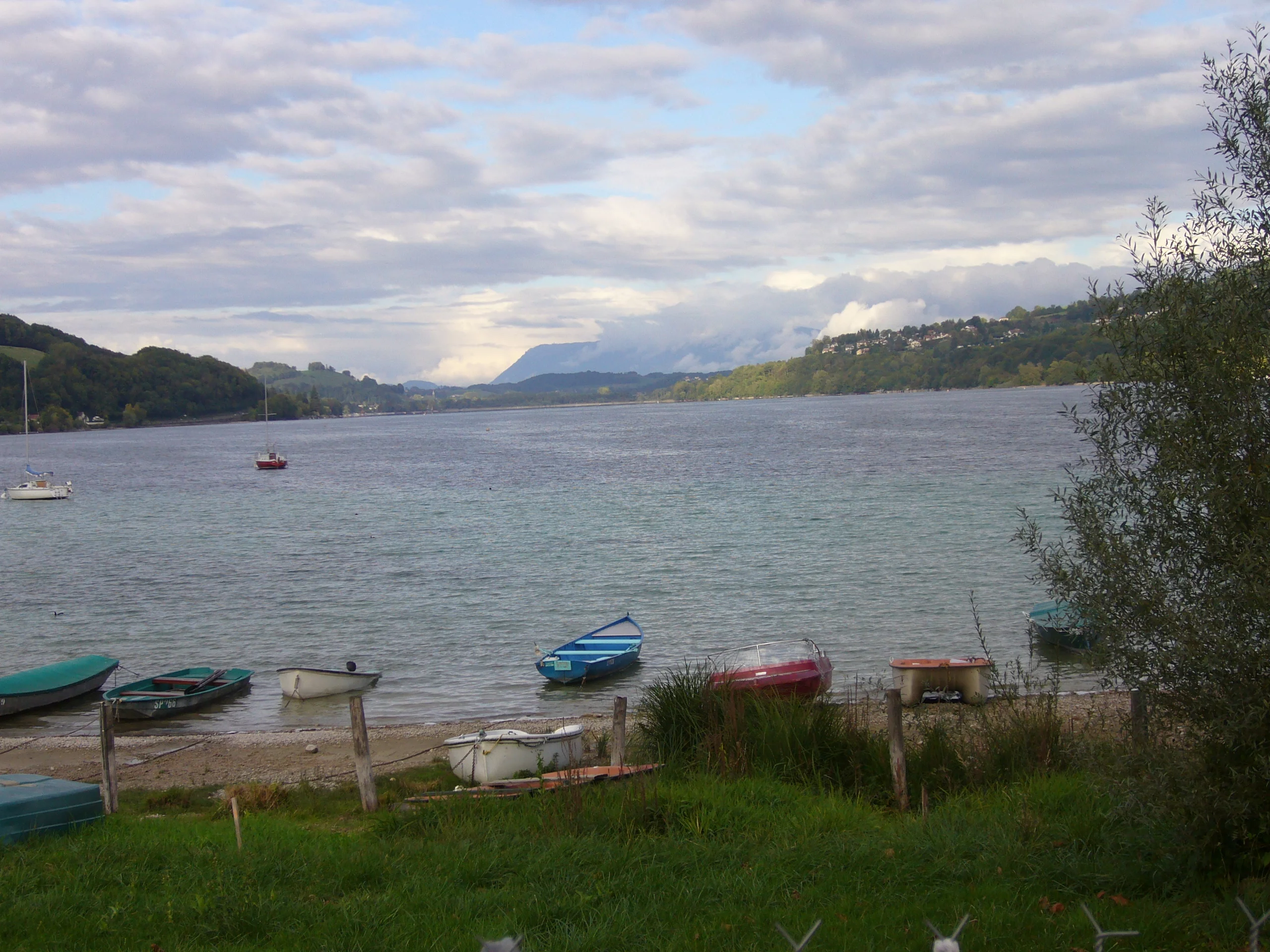 Lac : Lac de paladru / charavines à Montferrat, parcours de pêche en eau douce en Isère