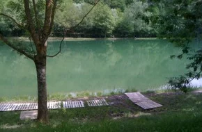 Étang : Etangs de troussatière amont 2 ha et aval 2 ha à Tullins, parcours de pêche en eau douce en Isère