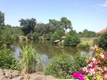 Lieu de pêche Etang de la hougarde à geloux - Geloux (40 - Landes)