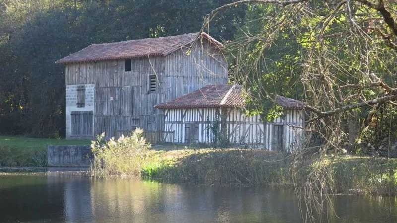 Lieu de pêche Etang du moulin - Le sen (40 - Landes)