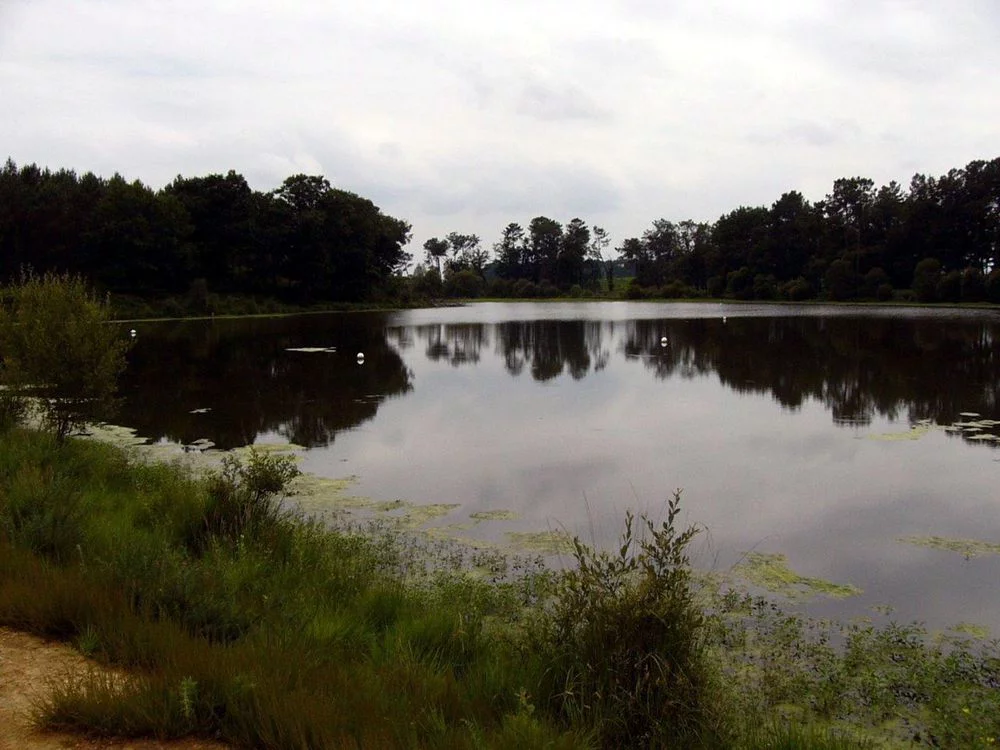 Lac : Lac d'ages à Monségur, parcours de pêche en eau douce en Landes