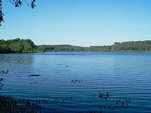 Lac : Lac de la prade à Moliets-et-maa, parcours de pêche en eau douce en Landes