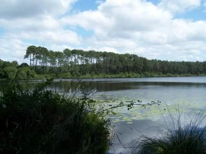Lac : Lac de moliets à Moliets-et-maa, parcours de pêche en eau douce en Landes
