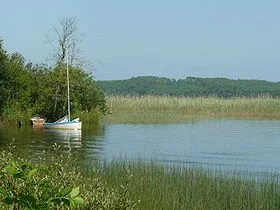 Lac : Lac d'aureilhan à mimizan à Aureilhan, parcours de pêche en eau douce en Landes