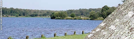 Lac : Lac de léon à Léon, parcours de pêche en eau douce en Landes