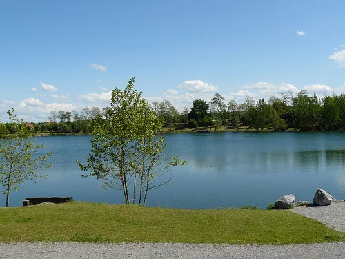 Étang : Etang communal de peyrehorade à Peyrehorade, parcours de pêche en eau douce en Landes