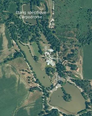 Étang : Le carpodrome d'halco à Momuy, parcours de pêche en eau douce en Landes