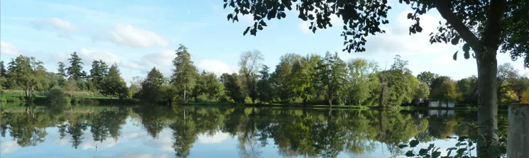Lieu de pêche Etang de st ouen - Saint-ouen (41 - Loir et Cher)
