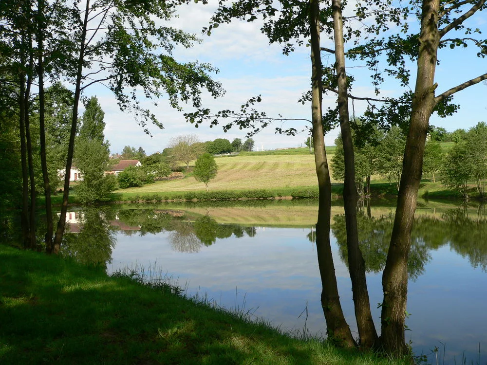 Lieu de pêche Plan d'eau de danzé - Danzé (41 - Loir et Cher)