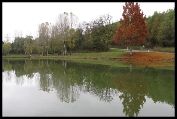 Lieu de pêche Plan d'eau ecoute s'il pleut et plan d'eau de laumel - Gourdon (46 - Lot)