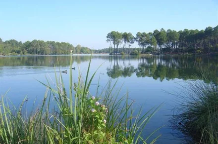 Lieu de pêche Lac de clarens - Casteljaloux (47 - Lot et Garonne)