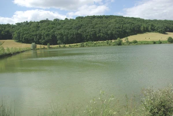 Lieu de pêche Lac de talives - Foulayronnes (47 - Lot et Garonne)