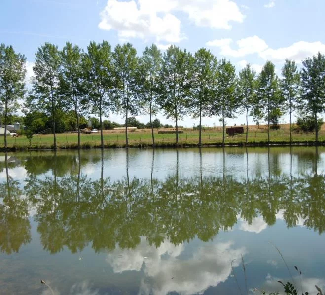 Lieu de pêche Lac de pêche des 3 chênes - Francescas (47 - Lot et Garonne)