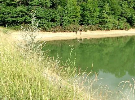 Lieu de pêche Lac de platan - Grateloup-saint-gayrand (47 - Lot et Garonne)
